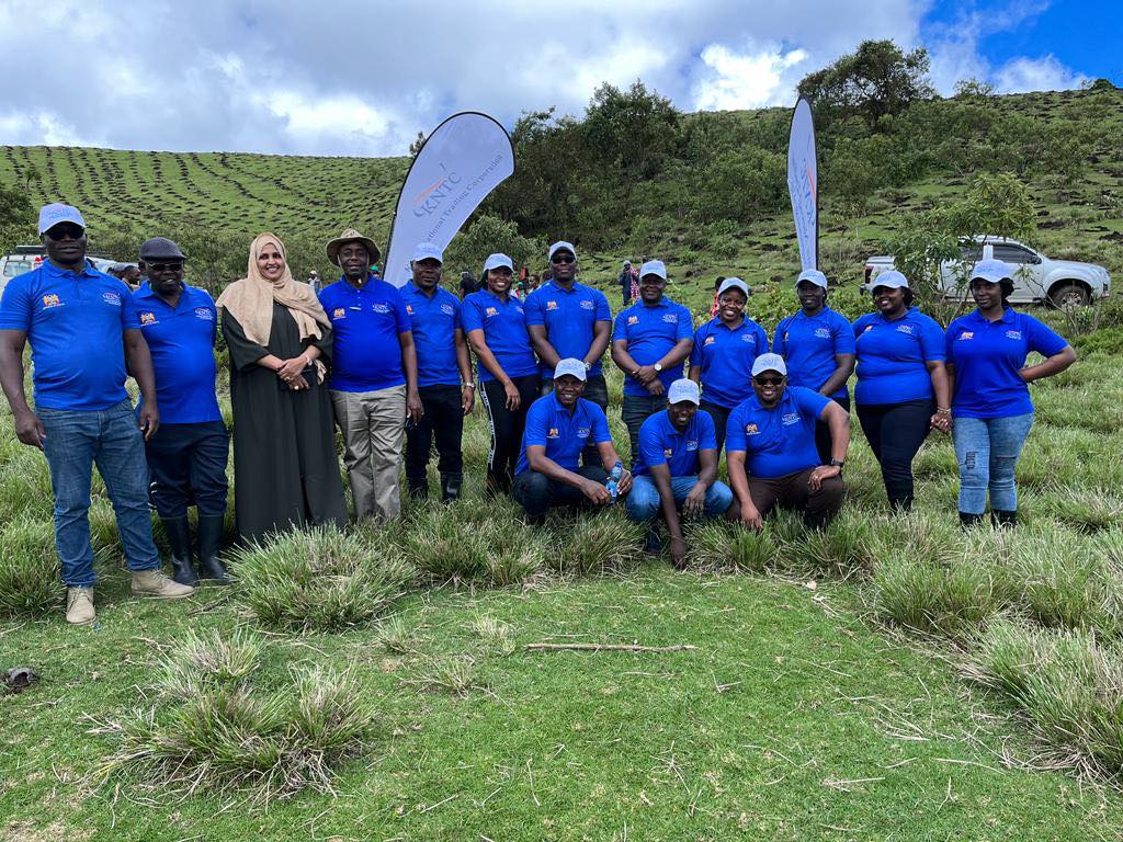 National Tree Planting day in Enosupukia forest reserve in Narok County