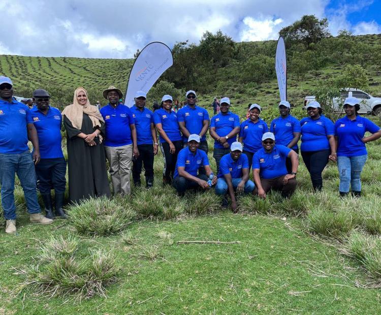 National Tree Planting day in Enosupukia forest reserve in Narok County